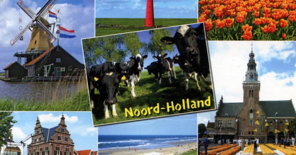 Dutch tulips - GPSR compliance Netherlands