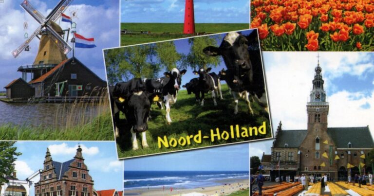 Dutch tulips - GPSR compliance Netherlands